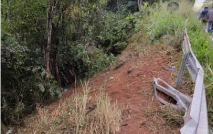 Resgate de animais mobiliza equipes após queda de carreta na na Serra Sucuriú