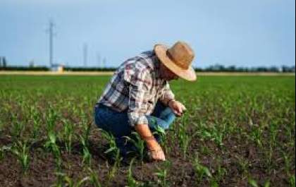 Regularização fundiária leva segurança e novas oportunidades ao produtor rural paulista