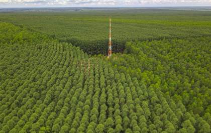 Eldorado Brasil destaca tecnologia e conservação ambiental no Plano de Manejo Florestal 2025