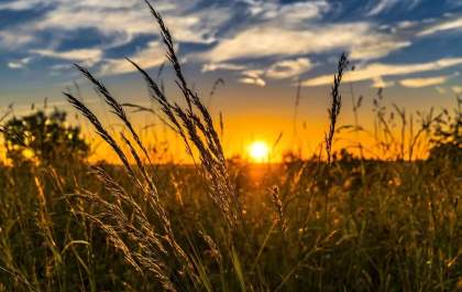 Junho terá temperaturas acima da média e risco de estiagem em Mato Grosso do Sul