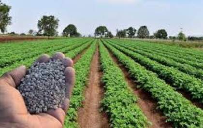 Fertilizantes sobem até 39% em MS