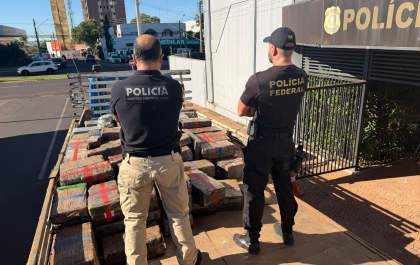 Polícia Federal de Araçatuba incinera mais de 2,9 toneladas de drogas