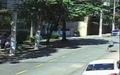 Policial militar é baleado ao intervir em assalto em São Paulo