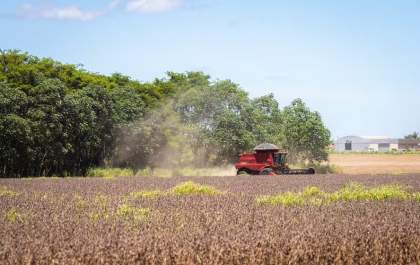 Senado aprova refinanciamento especial para produtores rurais