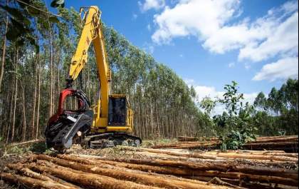 Entre o sucesso econômico e os desafios de um crescimento acelerado em Mato Grosso do Sul