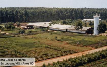 Da pecuária à potência global: como a Chamflora mudou o destino de Três Lagoas