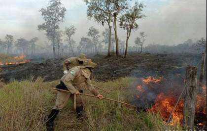 Pantanal reforça combate aos incêndios