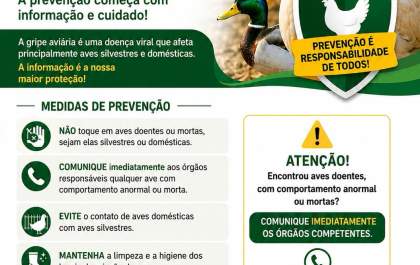 Secretaria reforça orientações para prevenção e conscientização sobre a gripe aviária