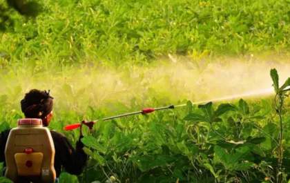 Iagro autoriza 10 novos agrotóxicos em MS
