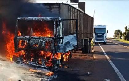 Carreta boiadeira pega fogo na MS-395 e animais são soltos para evitar tragédia