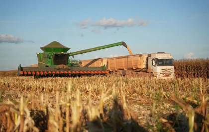 MP libera crédito para produtores rurais endividados