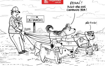 Quando o passeio sai do controle