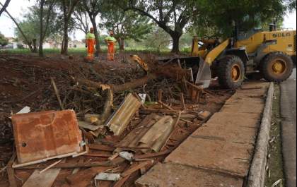 Canteiro central da Fundadores passa por limpeza