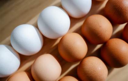 Anvisa desmente boato sobre ovos de plástico e reforça segurança do consumo no Brasil