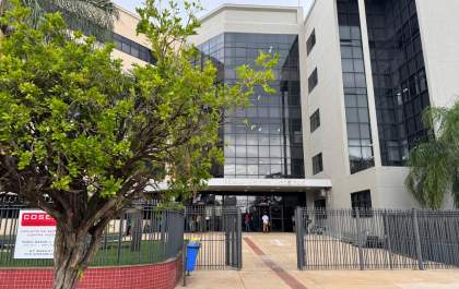 Pet shop é condenado após vender cachorro como Labrador de raça pura