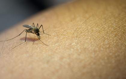 Três Lagoas registra 23 casos de chikungunya em 2026