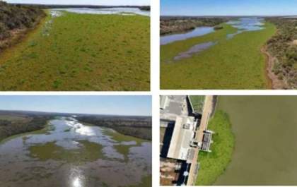 Imasul aponta excesso de nutrientes e Rio Pardo enfrenta crise ambiental