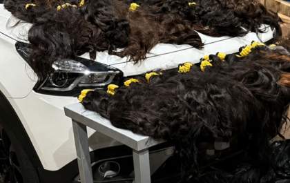 Receita apreende 148 kg de cabelo humano no Paraná
