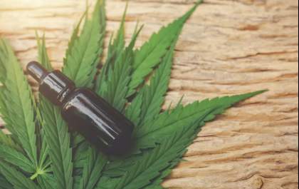 Importação de cannabis medicinal cresce em 2026