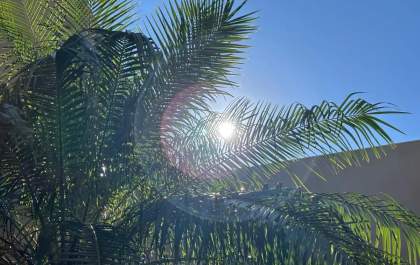 Mato Grosso do Sul terá calor de até 40°C