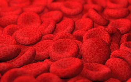 Novo medicamento para anemia hemolítica autoimune é aprovado pela Anvisa