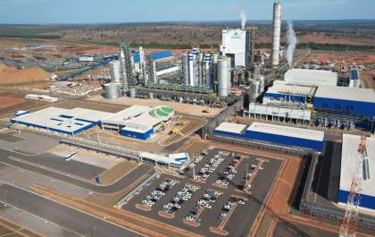 Suzano abre 18 vagas de emprego em três cidades de Mato Grosso do Sul