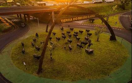 Cidadão manifesta indignação e preocupação com o atletismo de Andradina&nbsp;