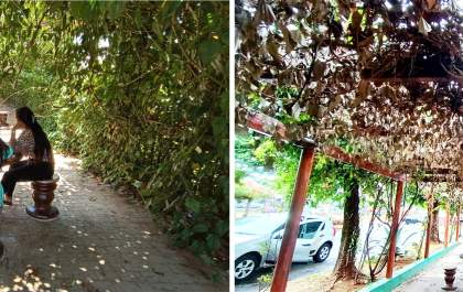 Do “Impacto Verde” ao abandono: área revitalizada no entorno do Centro Cultural de Andradina é tomada pelo descaso