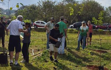 Área verde na Fundadores ganha 50 mudas de árvores