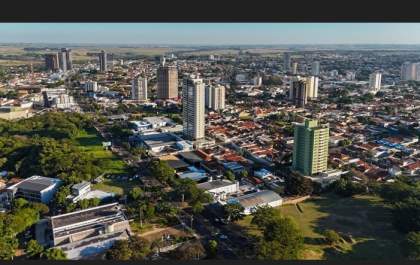 Fórum discute arborização urbana em Araçatuba