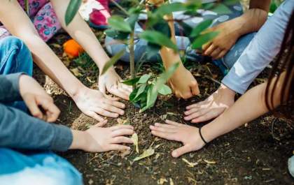 Semana da Árvore terá atividades de conscientização ambiental em Três Lagoas