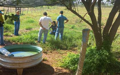 AEMS promove prática de Agronomia na Fazenda Escola