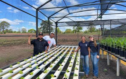Fazenda Escola da AEMS desenvolve projetos de Agronomia