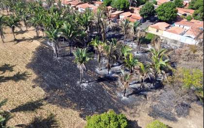 Incêndio consome mais de 61 hectares da Embrapa