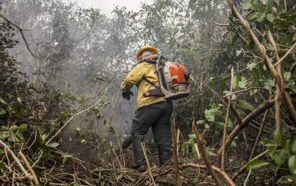 Amazonas registra 540 focos de incêndio em 48 horas; governo suspeita de ação criminosa