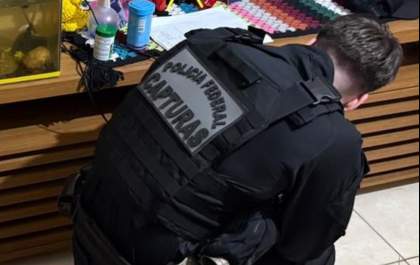 PF apreende mais de 2,8 toneladas de drogas e mira organização criminosa em MS