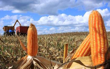 Iagro capacita equipes para combater agrotóxicos ilegais e fraudes em sementes em MS