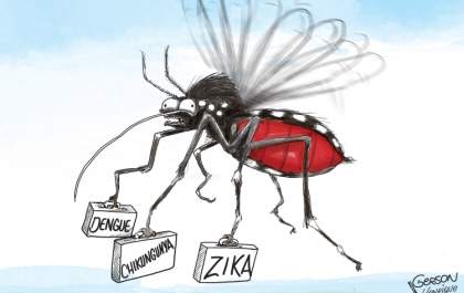 Mosquito Zica