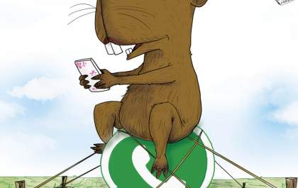 WhatsApp da Capitu
