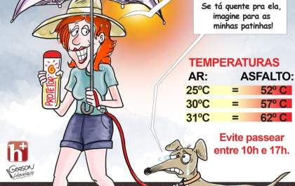 Cuidado ao passear com seu animalzinho no calorão