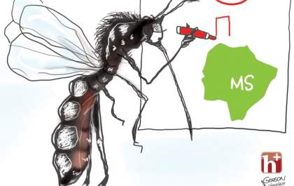 Mortes por dengue em MS