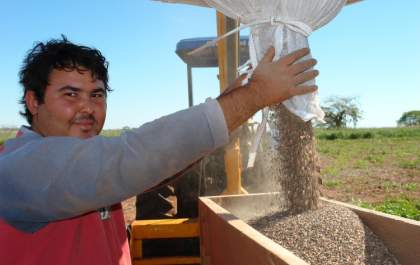 Produto lançado na cana é suspeito de destruir lavouras e vegetações