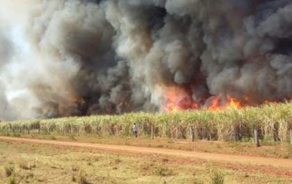 Meio Ambiente: Ação conjunta alerta sobre queimadas