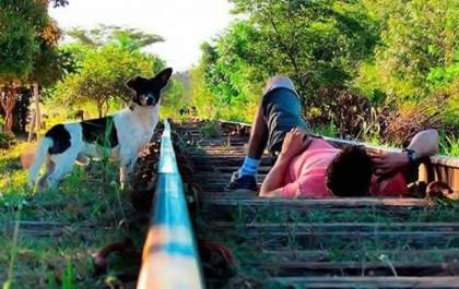 “Paparazzi” de Castilho salva vida de trabalhador deitado em ferrovia