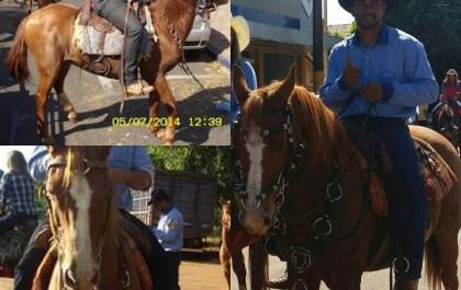 Cavalo desaparece depois de cavalgada em Nova Independência