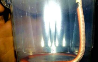 Cobra encontrada em residência assusta moradores de Castilho