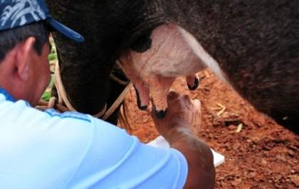 SRA e Senar iniciam cursos do 'Programa Proleite' e 'Operação e manutenção de tratores agrícolas'