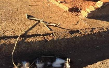APAAR denuncia caso grave na Vila Mineira