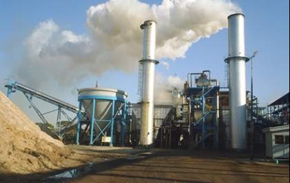Mais um problema das usinas de álcool: moscas reduzem produção de leite