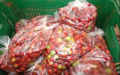 Chuvas no inverno alteram algumas produções rurais
